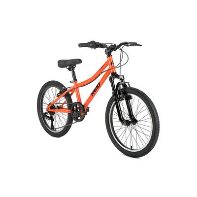 REID Impact 20 Kids Bike