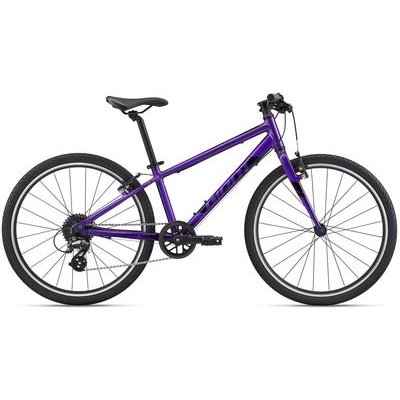 Giant ARX 24 Kids Bike